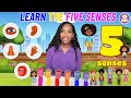 The Five Senses For Kids Learning With Ms Houston 