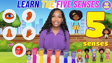 The Five Senses For Kids| Learning with Ms Houston
