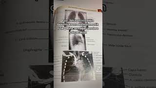 Bu Ses Asla Pes Etmeyip Istediğini Elde Eden Kişi Vibeı Veriyor Kesinlikle