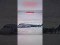 #AviationAccidents#PlaneCrash #FlightDisaster#AviationSafety#aircrash#BlackBox#AirDisaster