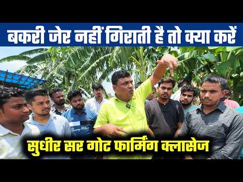 Sudhir sir ने बताया  Goat Placenta /Goat afterbirth से जुडी समस्या से कैसे निपटे? Goat Farming Tips