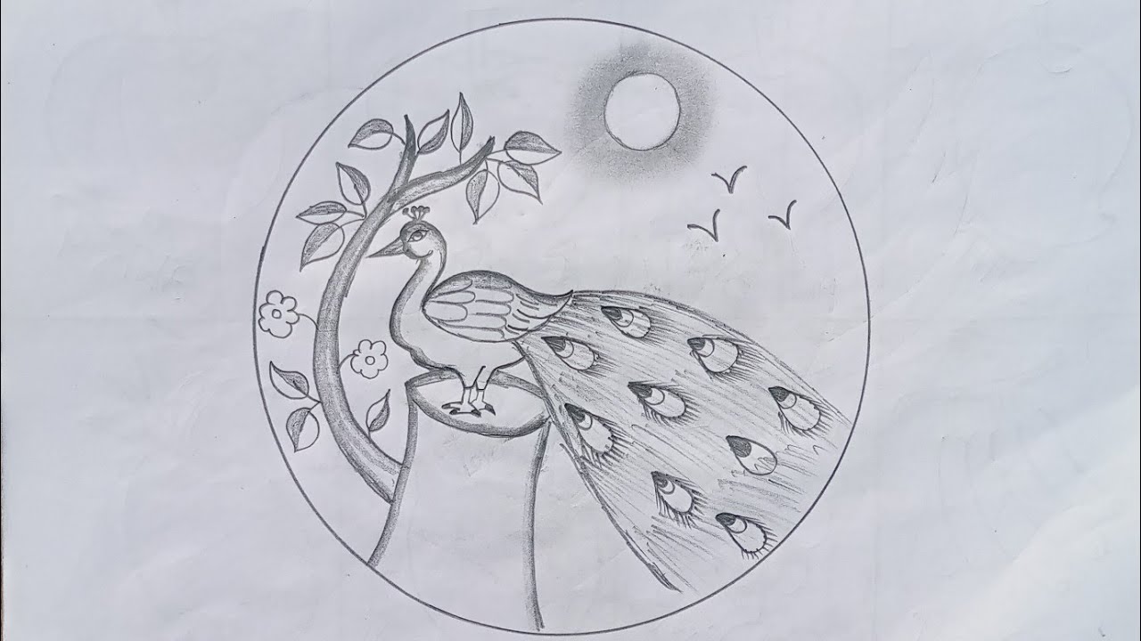 Circle scenery drawing/मोर का चित्र बनाना सीखे/ how to draw beginners step by step# peacock drawing 