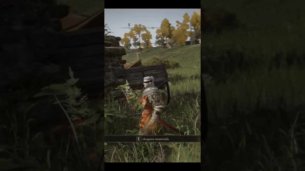 Elden Ring 60 secs no death clip 