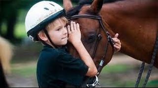 Каждый мечтает о лошади - немецкий детский фильм о добром коне