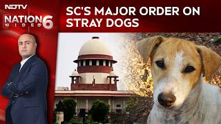 Supreme Court On Stray Dogs | Public Safety First: Supreme Court's Major Order On Stray Dogs