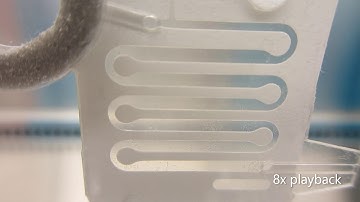 GattaCo Sipon Demo: Blood Plasma Separation