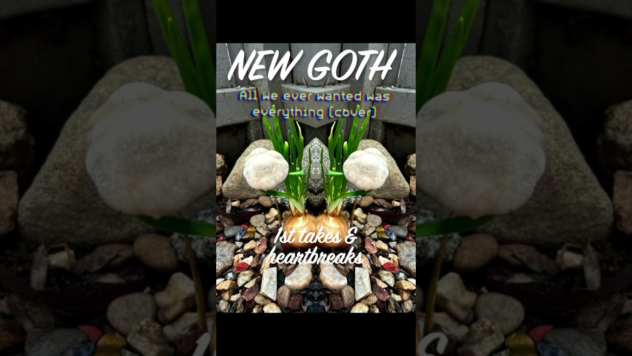 New Goth “All We Every Wanted Was Everything” (cover) 
