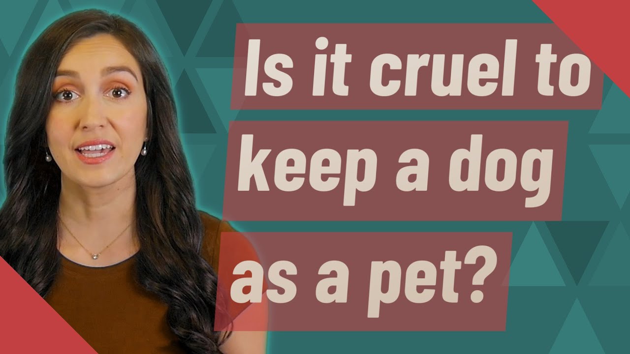 Is it cruel to keep a dog as a pet? YouTube