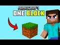 Minecraft, but it's only ONE BLOCK
