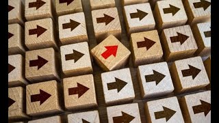 Effective Requirement Management with Orcanos