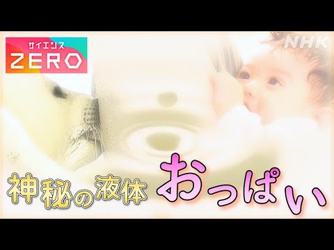 [サイエンスZERO]「おっぱい」の秘密 哺乳類なら知っておきたい！神秘の液体“母乳” | NHK