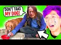 Homeless Man Gets His DOG TAKEN Away, What Happens Next Is Shocking! (LANKYBOX REACTION!)