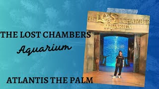 Exploring The Lost Chambers Aquarium I Joy - Vibes Vlog