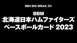 BBM 2023 日本ハム 田中正義&池田隆英 3枚限定コンボ直筆サイン BBM 2023 日本ハム 田中正義&池田隆英 3枚限定コンボ直筆サイン