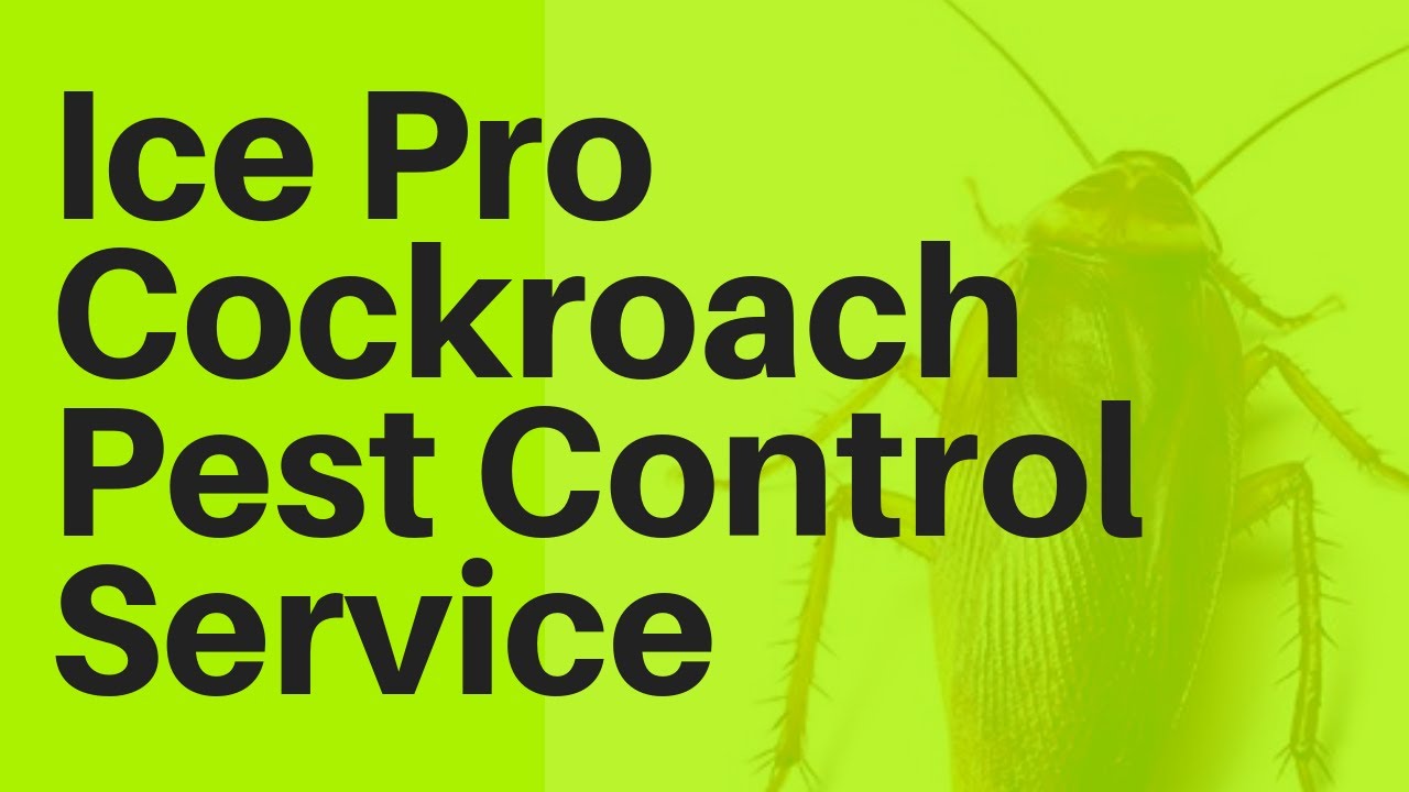 Ice Pro Cockroach Pest Control Video Pesticon Singapore | Pesticon +65 88007378 (8800PEST)