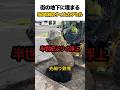 街の地下に埋まる50年前のタイムカプセル