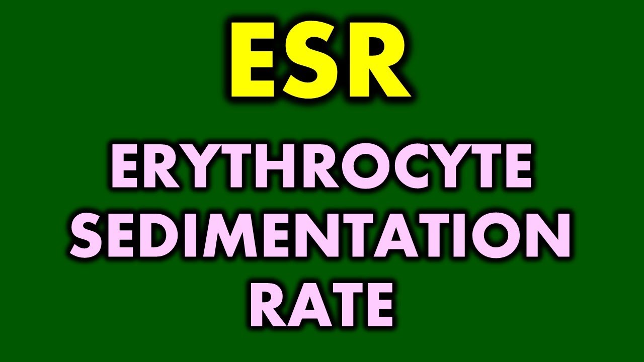 Erythrocyte Sedimentation Rate, ESR, What does ESR test show?