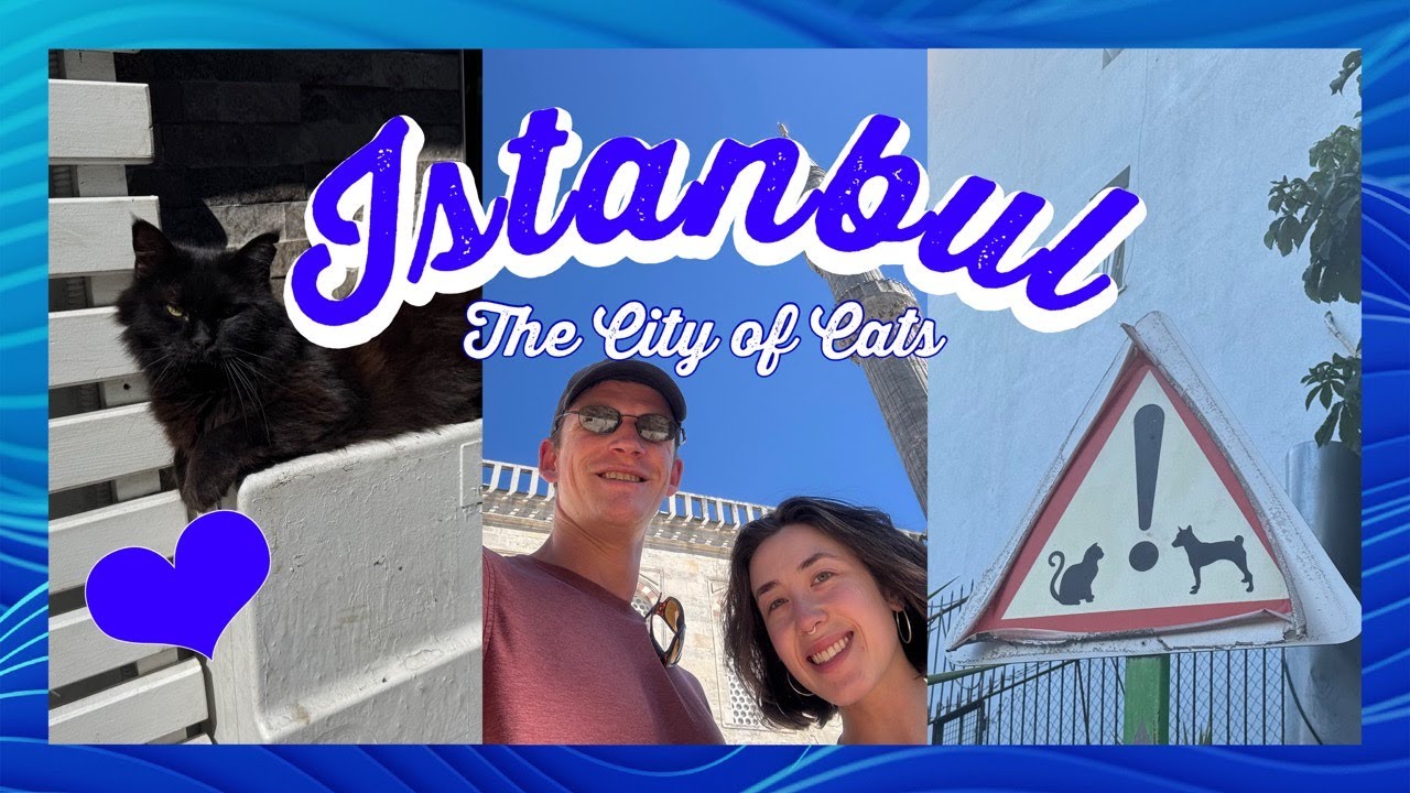 ISTANBUL - Turkey Adventure Pt.1 ┃Exploring, Kittens and Food