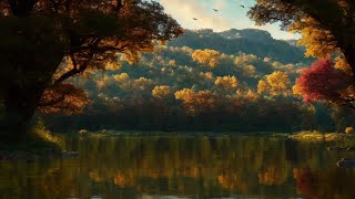 Serenity by the Stream 🐦🌊 | Tranquil Birdsong and Babbling Waterscape #track #nature