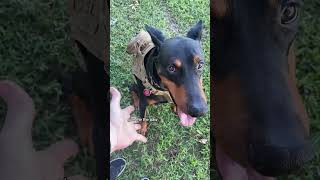 Why Cant I Upload Longer Videos