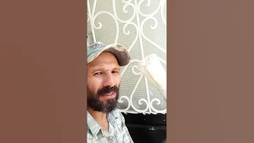 أجي تشوف أصعب خدمة عند الصباغ 
