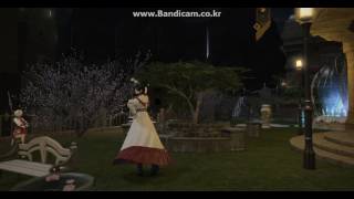 여자 루가딘 사베네어 춤 Female Roegadyn Thavnairian dance FFXIV