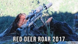 Red deer ROAR  22-23 April 2017  - Last Chance