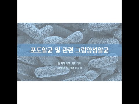 제18장 포도알균 및 관련 그람양성알균20200901