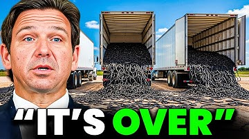 Florida Was Mocked For Releasing HUNDREDS of Rare Snake Killers. The Result Changed Their Minds