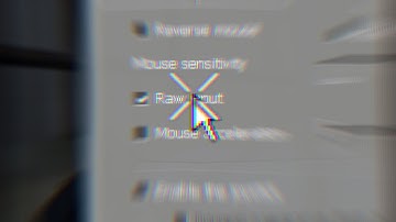 Raw Input in source is Hacks