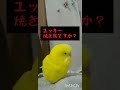 食べられる覚悟はできているトリ