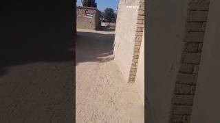 PUNJAB pakistan villagehouse oldhouse shortclips PLEASE SUBSCRIBE entertainment 2023VIDEOS