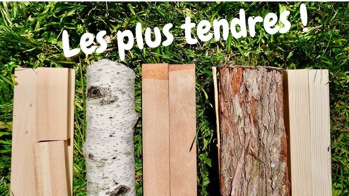 Se mettre à la sculpture bois : conseils aux débutants – Bois et Toile