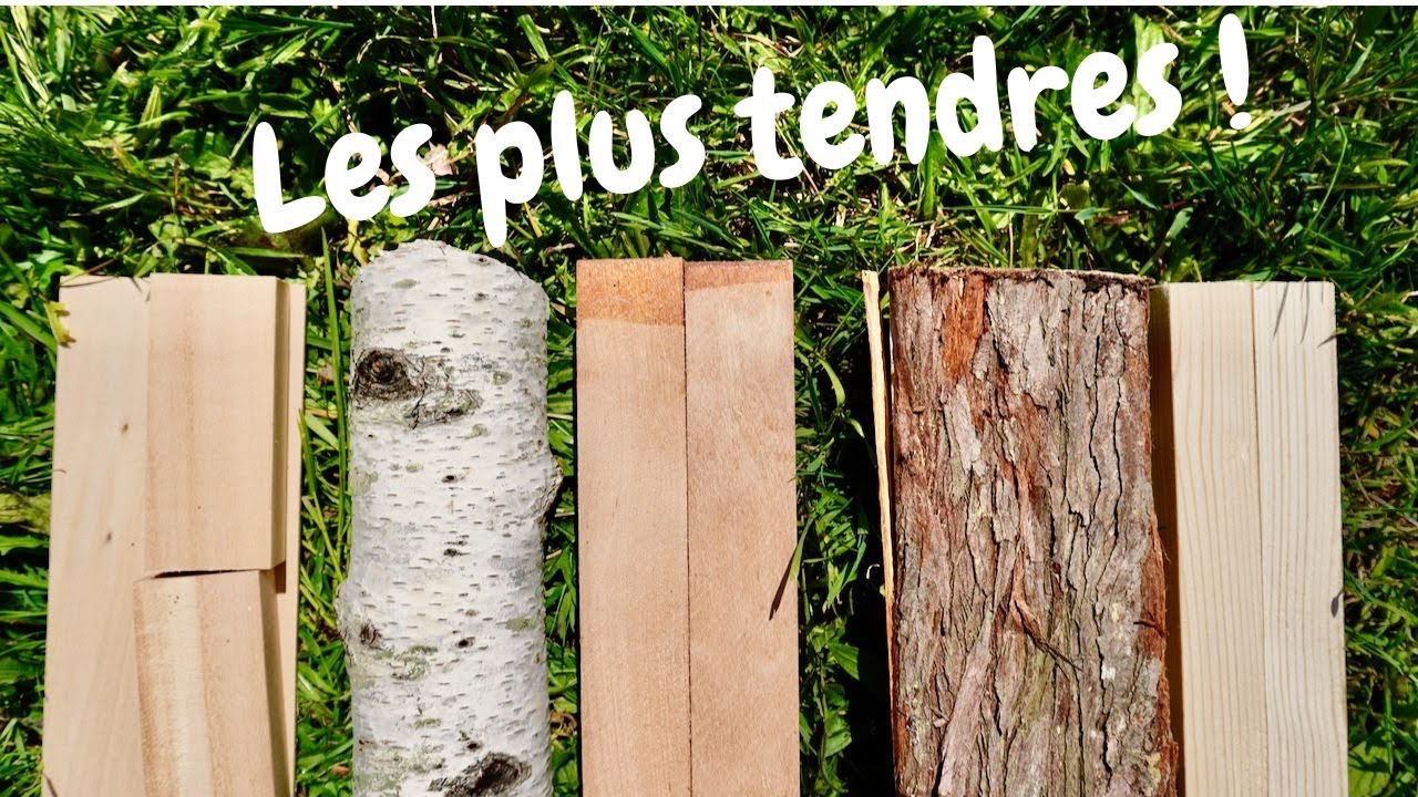 Quels outils choisir pour fendre du bois ? - Gamm vert