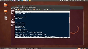 install the openssh-server in ubuntu 12.04