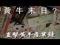 【紀錄片】黃牛末日？直擊台灣黃牛產業鏈 - 第九人稱