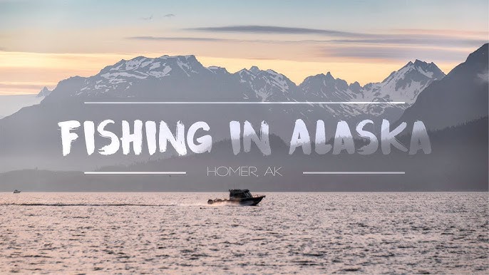 alaska alaskan halibut fishing homer, ninilchik fishing big huge! 