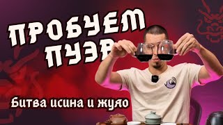 Пробуем пуэр: чайник vs гайвань, как извлечь правильный вкус?