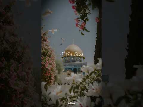 فإن يكن منكم مائة صابرة يغلبوا مائتين سورة الأنفال علي محمود Quran