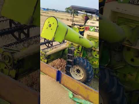 Kon Kina Rab Te Zakin Rahk Da