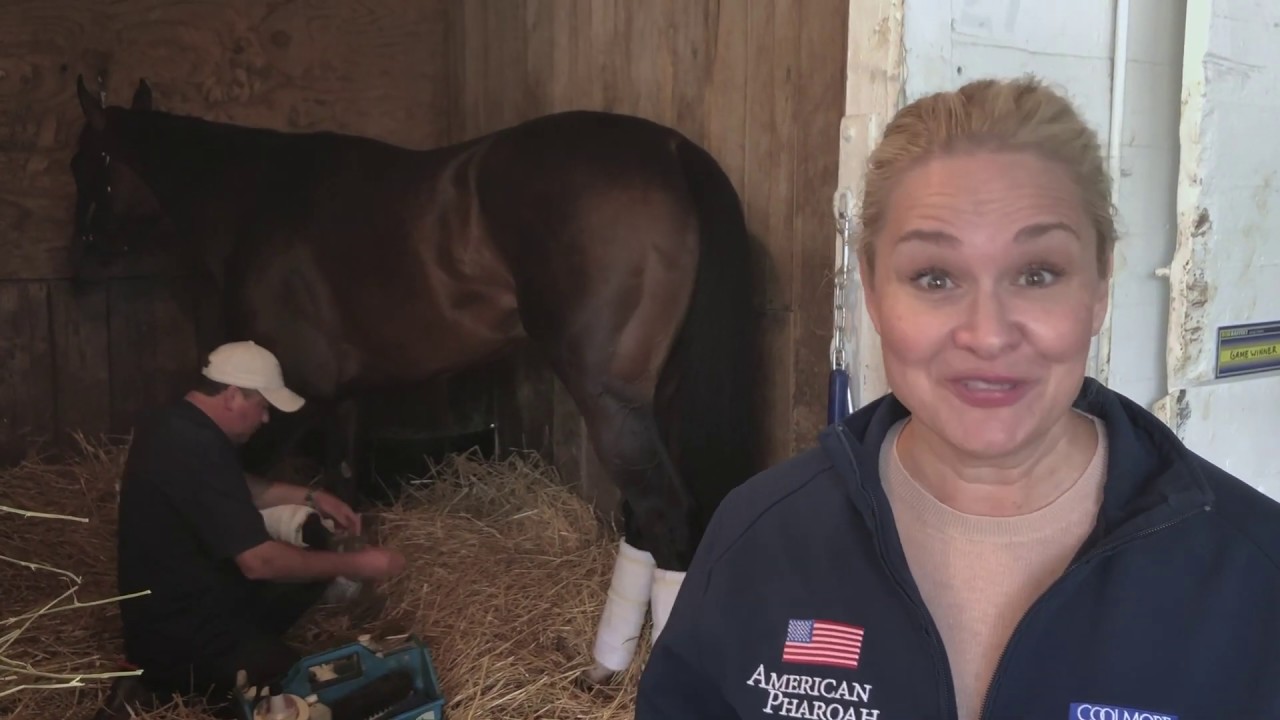 I AM HORSE RACING: Jill Baffert introduces KY Derby Week - YouTube