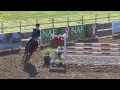 Showjumping - Chepstow Small Tour