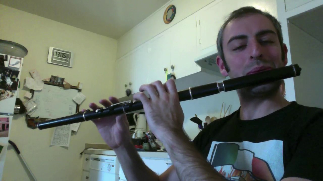 The Cup of Tea Irish Flute slow/fast YouTube