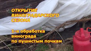 Открытие сезона виноградарства. 1-я обработка кустов по пушистым почкам