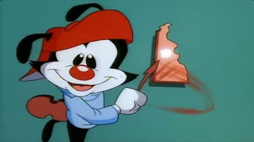 Wakko