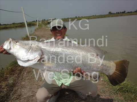 Dwayne , We Siong & Gun Barramundi Fishing In Thai...