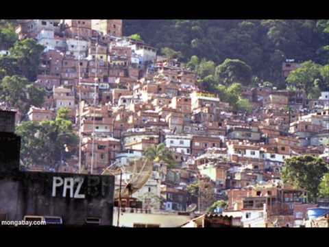 S.P.Y. Favela - (Mixcut)