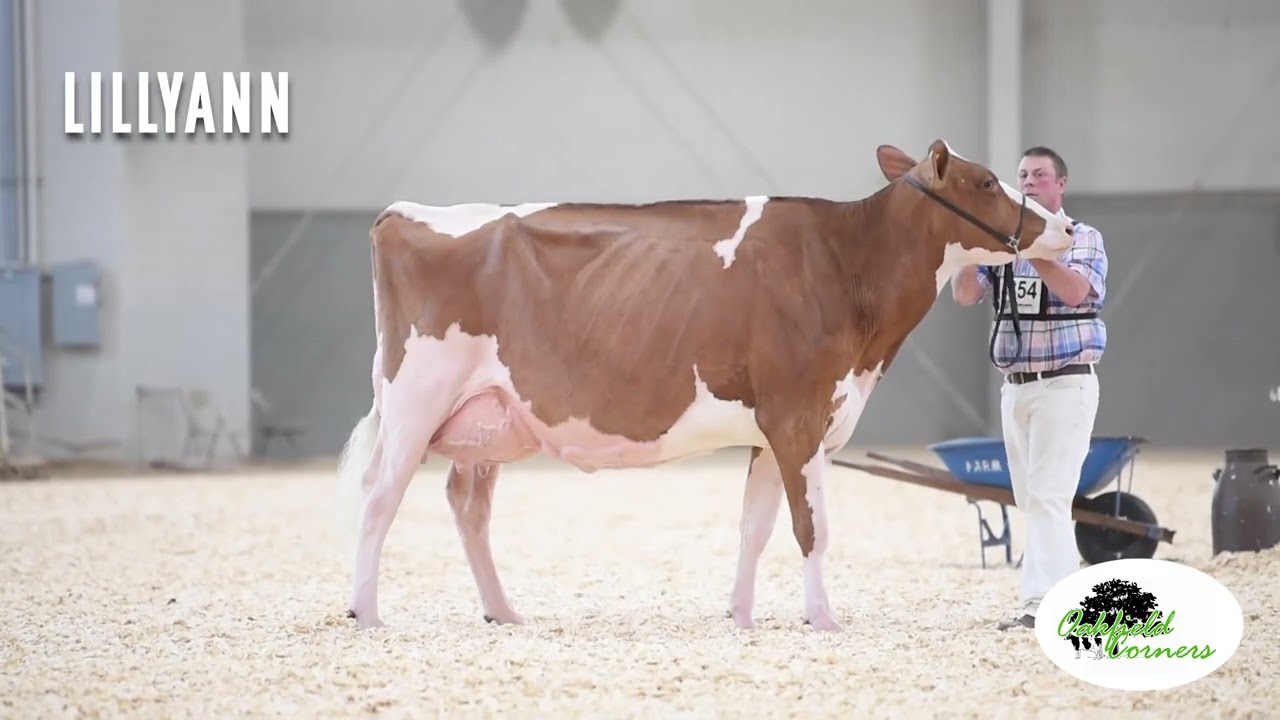 World Dairy Expo 2022 YouTube