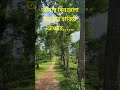 Village Nature Scenery | Viral Song #viralsong #habibnancy