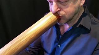 Paquete de didgeridoo 5 piezas: didgeridoo 120cm incluyendo bolsa - DVD de instrucciones - cera de abeja - soporte de didgeridoo video
